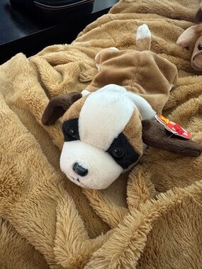 1996 “Bernie” beanie baby